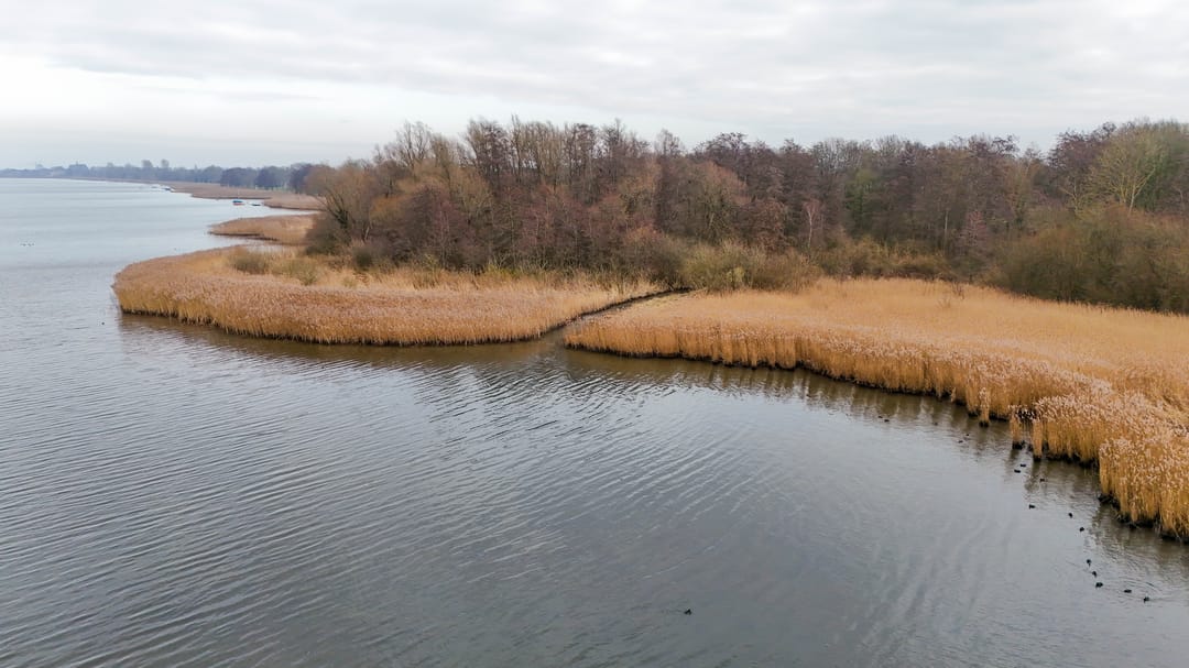 Photo 32 of Boslaan 2-A28