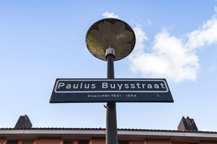 Foto 24 van Paulus Buysstraat 28