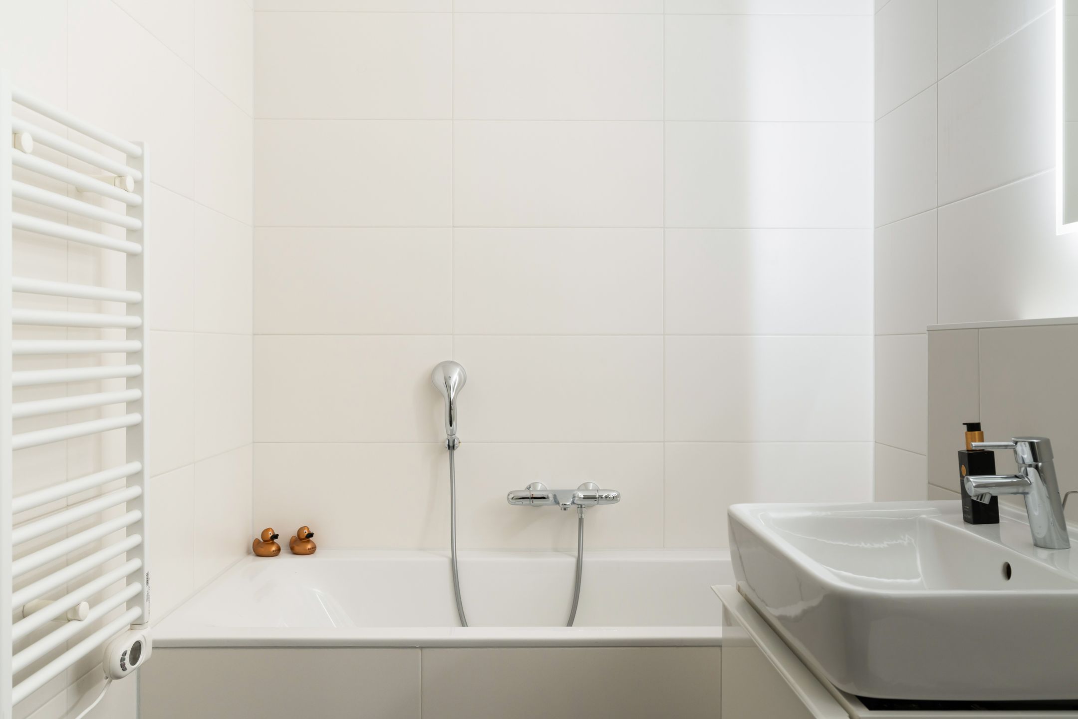 Foto 21 van Baan 44-R