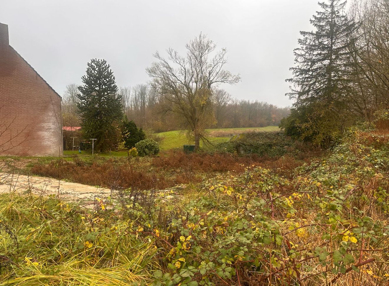 Photo 3 of Verlengde Hoofdstraat 30