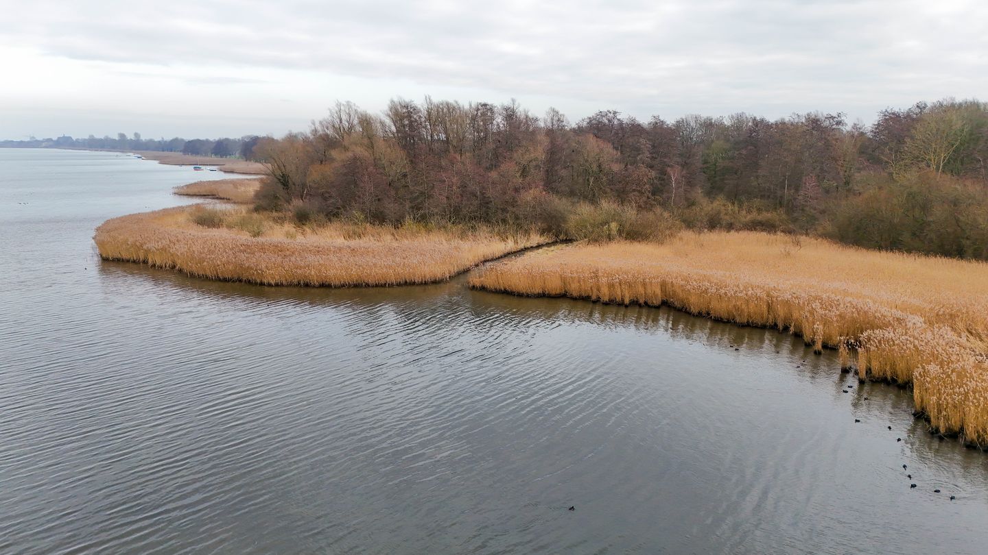 Foto 34 van Boslaan 2-A67