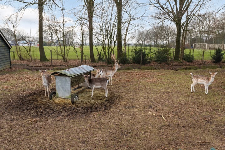 Foto 63 van Groeneweg 3