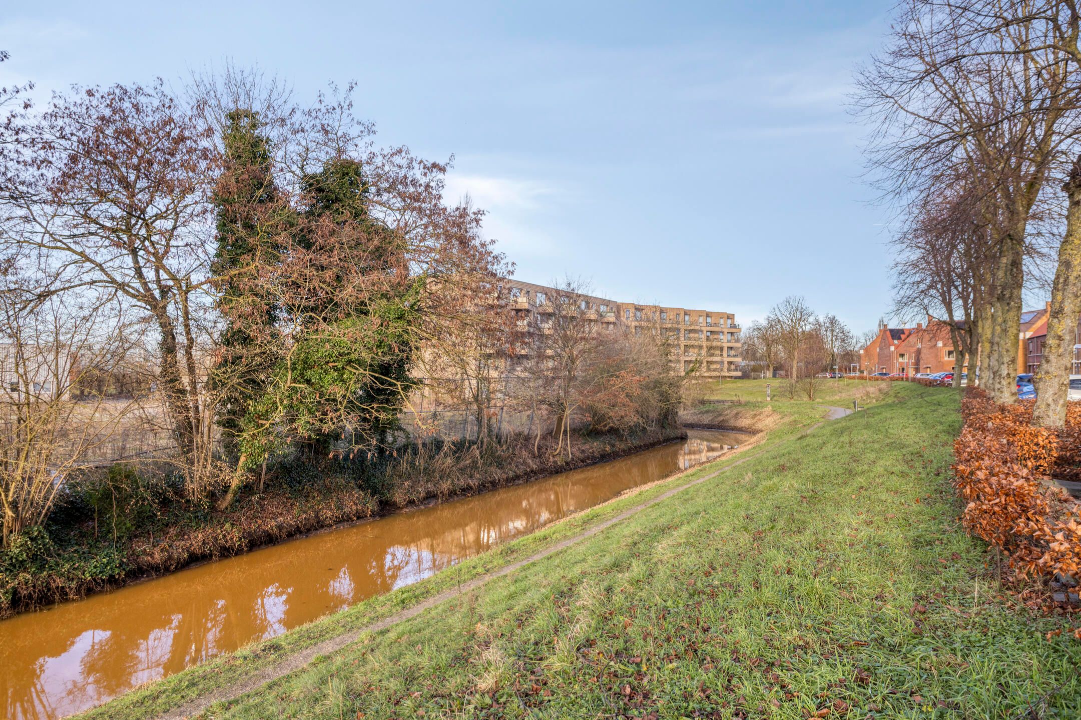 Foto 30 van Adelheidstraat 14