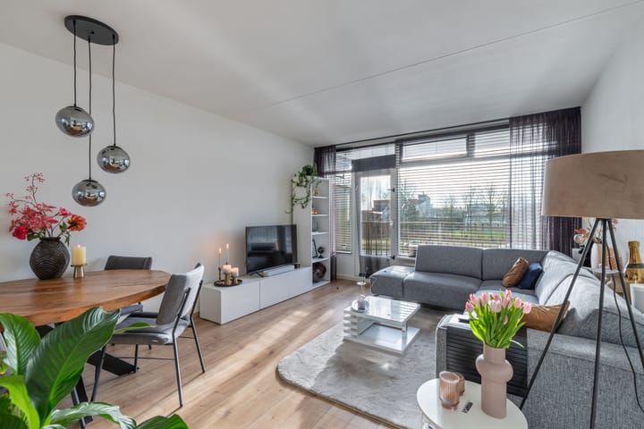 Foto 9 van Tjaarda 164