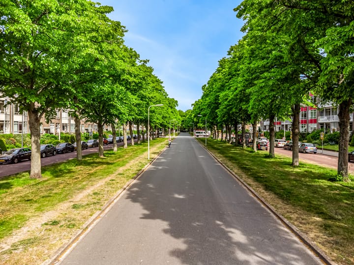 Foto 20 van Laan van Clingendael 52