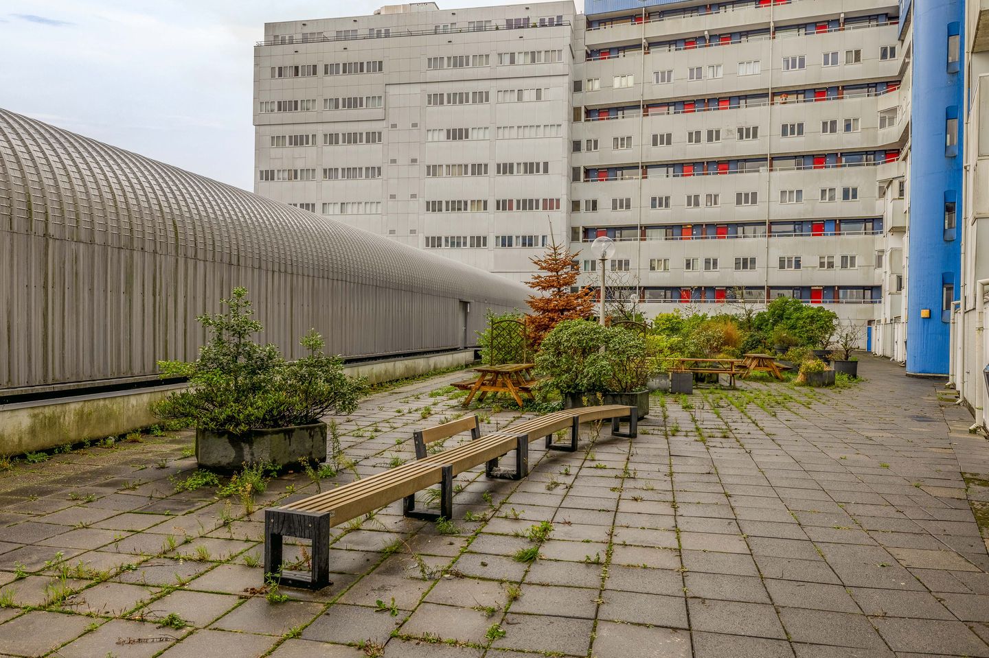 Foto 5 van Weena 1077