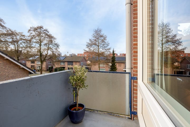 Foto 32 van Professor Regoutstraat 97