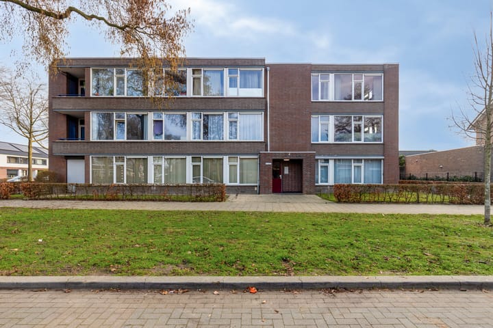 Foto 37 van Professor Regoutstraat 97