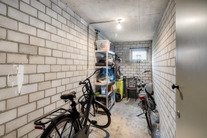 Foto 36 van Professor Regoutstraat 97