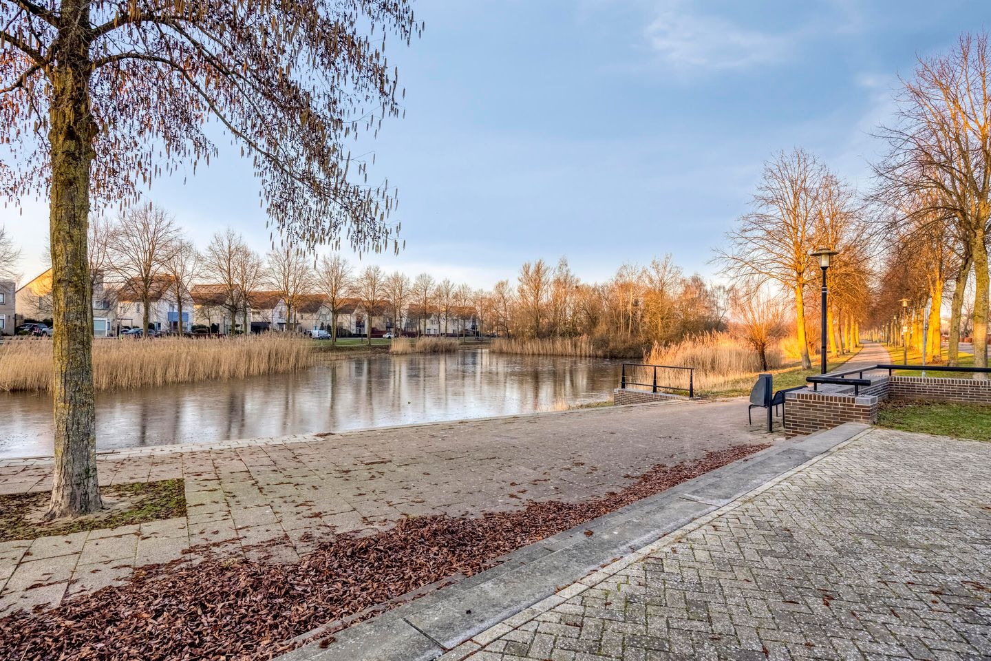 Foto 35 van Turnhoutstraat 22