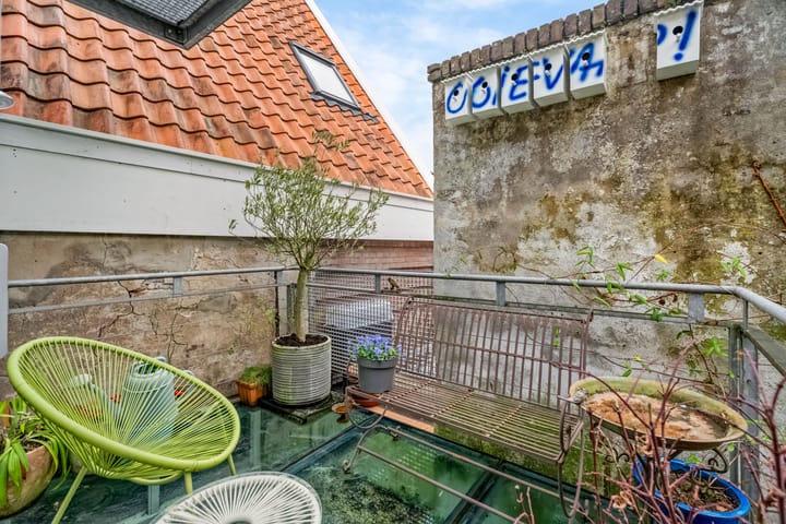 Foto 20 van Havik 19