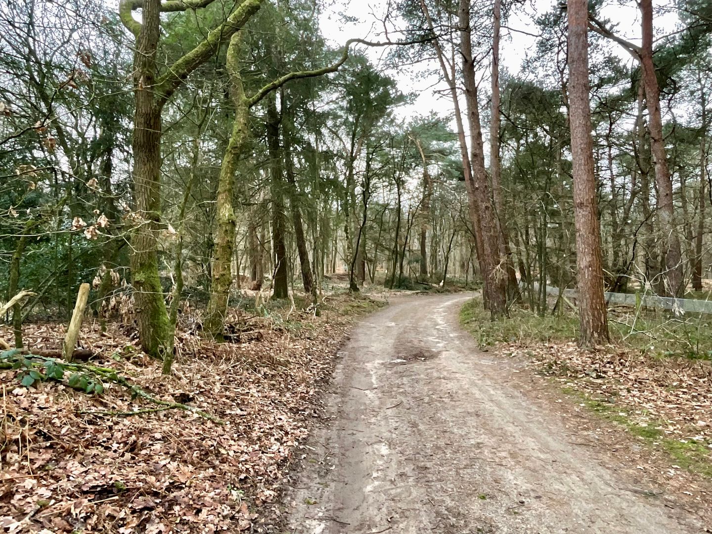 Foto 25 van Tonnenberg 53-K12