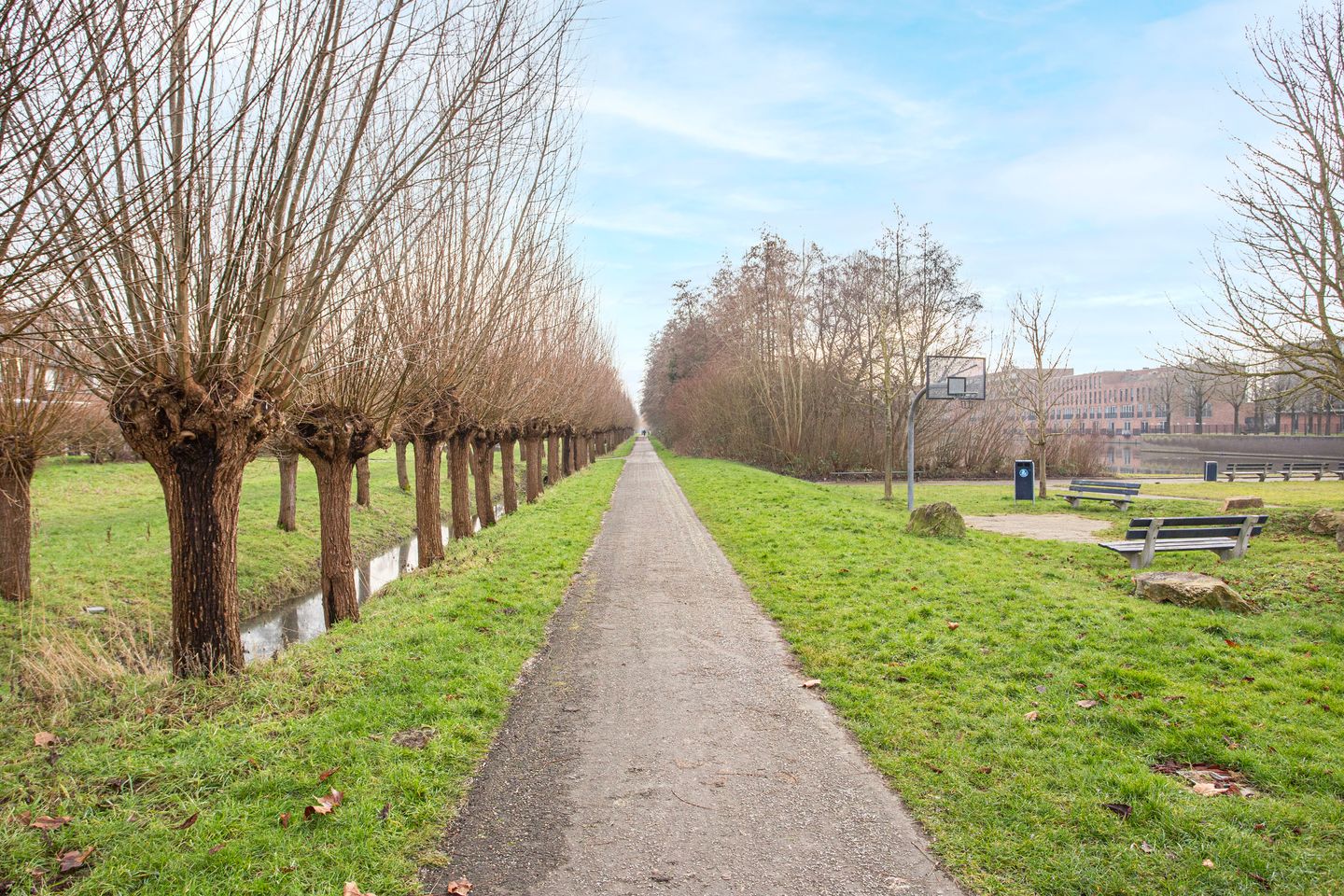 Foto 50 van Drususlaan 3