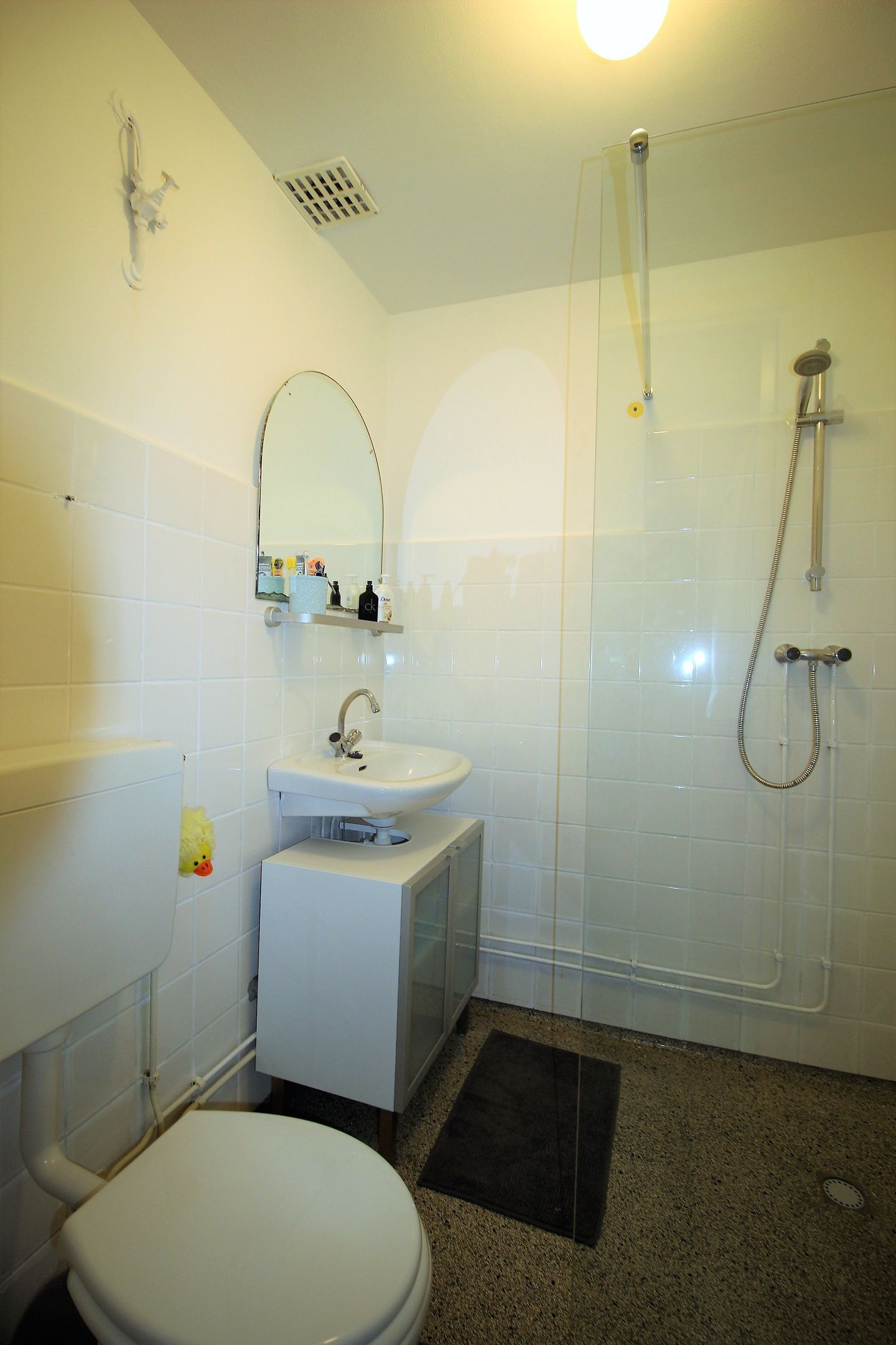 Foto 19 van Willem de Zwijgerlaan 335-3