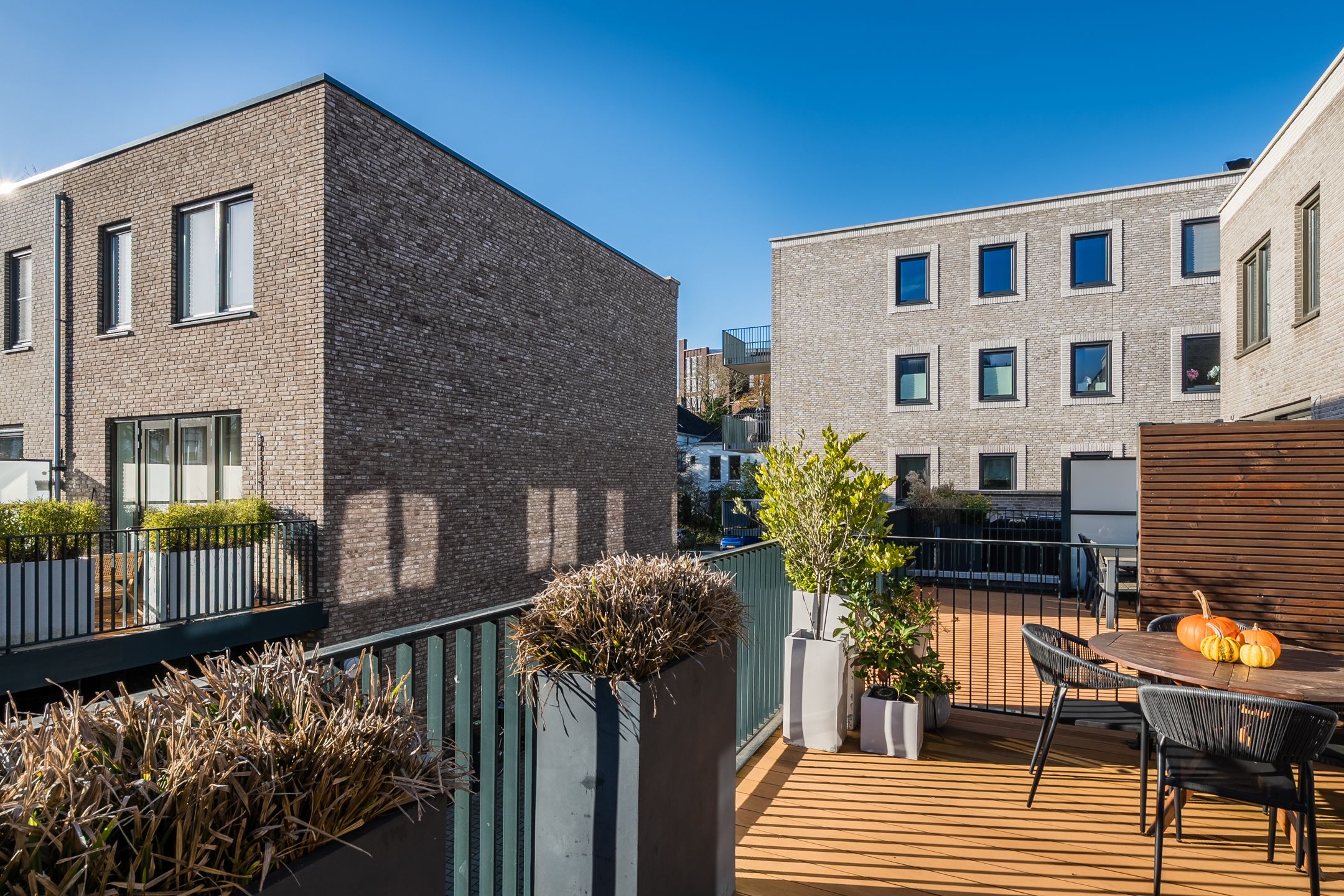 Foto 51 van Brantjesoever 8