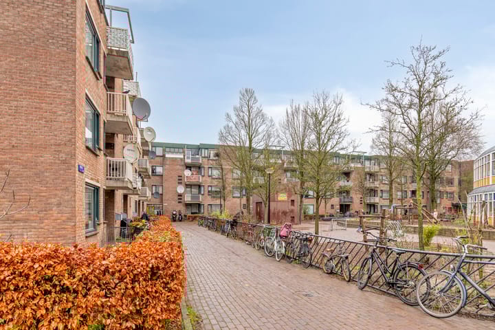 Foto 23 van Obiplein 51