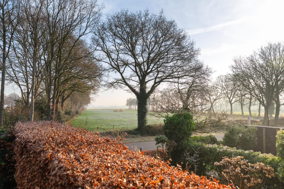 Photo 17 of Regimentslaan 18