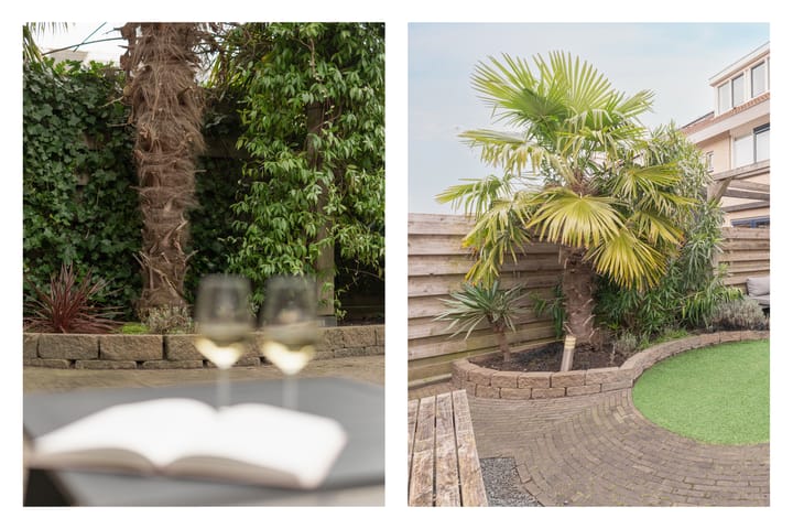 Foto 12 van Waterlelie 3