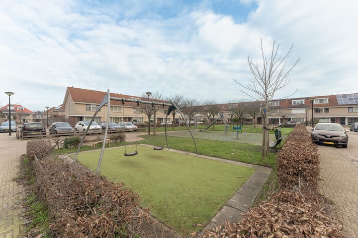 Foto 13 van Waterlelie 3