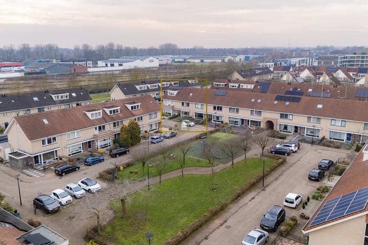 Foto 14 van Waterlelie 3