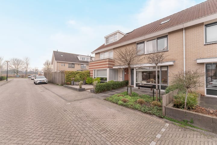 Foto 16 van Waterlelie 3