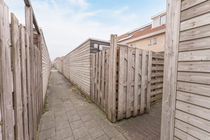 Foto 50 van Waterlelie 3