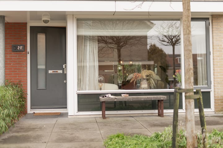 Foto 51 van Waterlelie 3