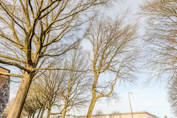 Foto 47 van Burgemeester Suijsstraat 65