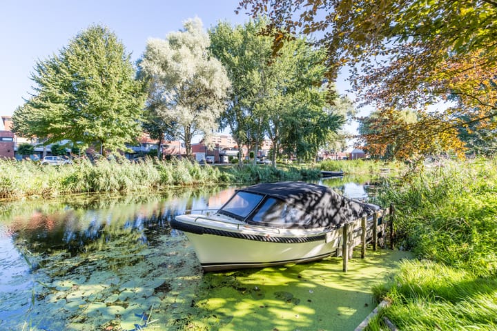 Foto 38 van Buñuellaan 42