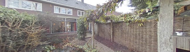 Achtertuin