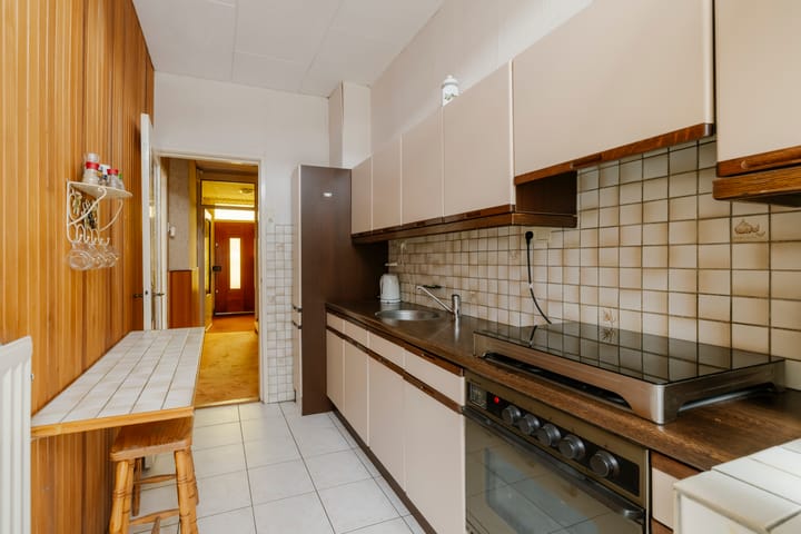 Foto 10 van Karel van Manderstraat 49