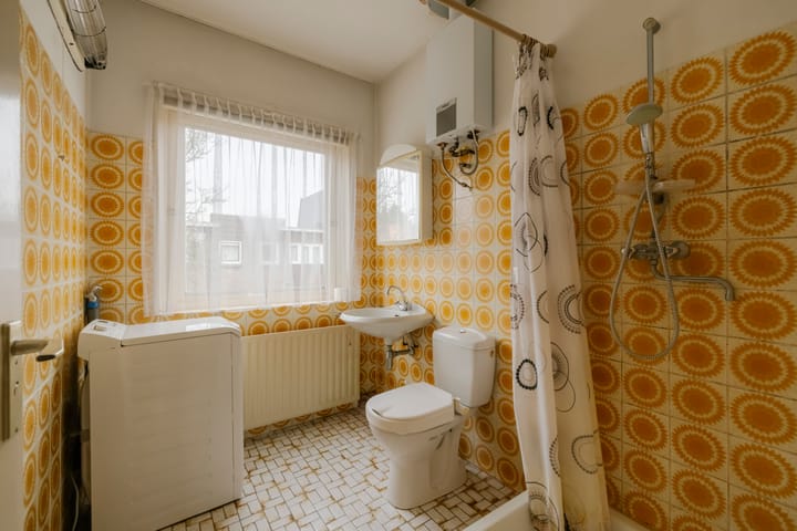 Foto 24 van Karel van Manderstraat 49