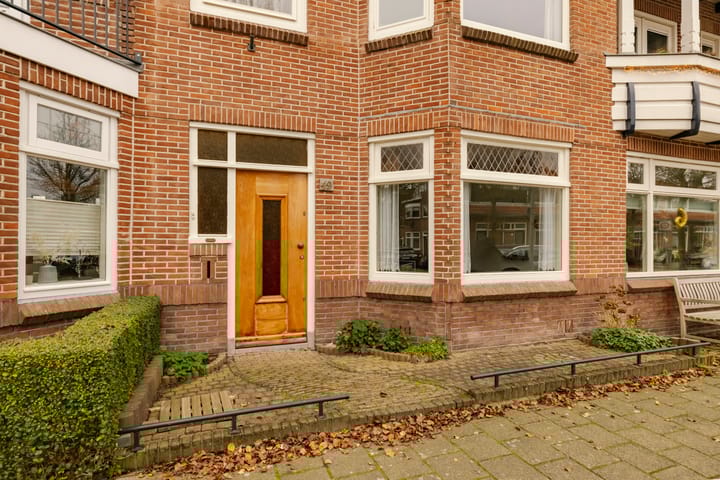 Foto 30 van Karel van Manderstraat 49