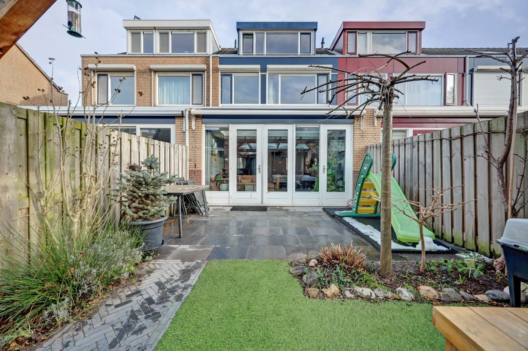 Foto 1 van Mantelmeeuw 9