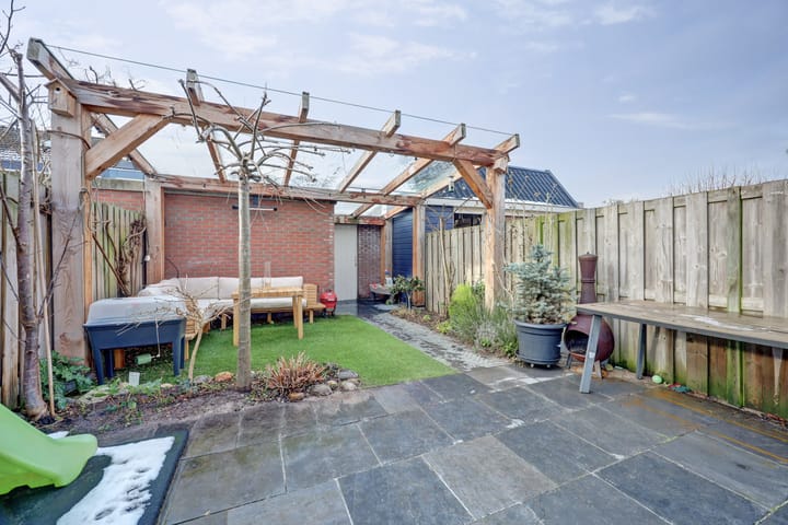 Foto 3 van Mantelmeeuw 9