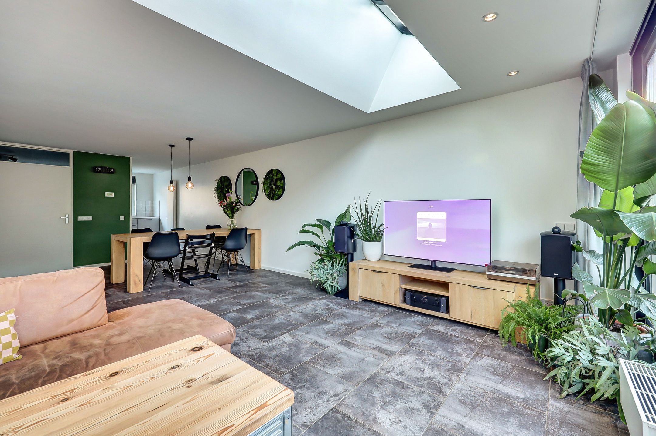 Foto 9 van Mantelmeeuw 9