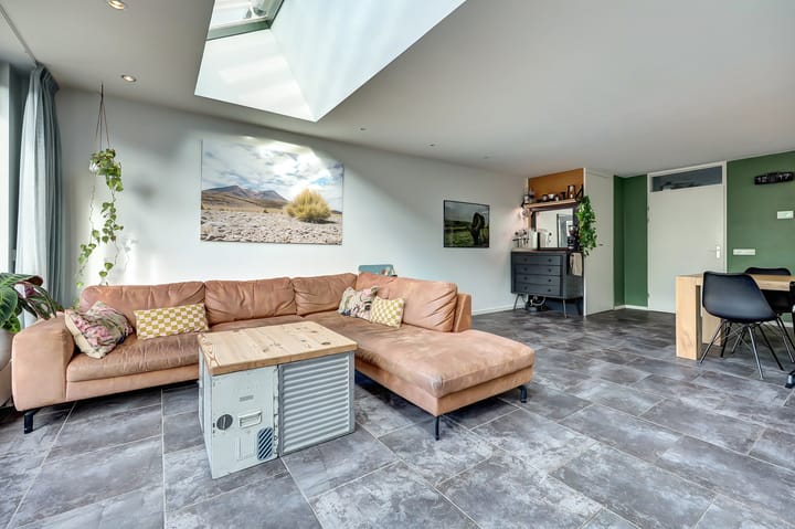 Foto 10 van Mantelmeeuw 9