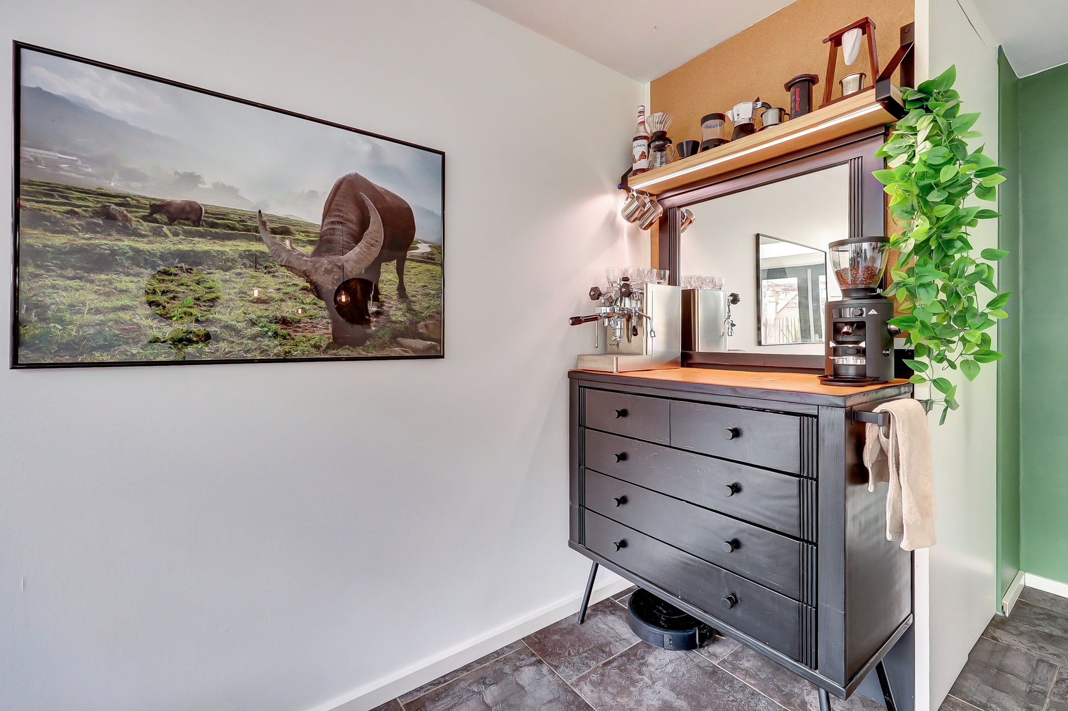 Foto 12 van Mantelmeeuw 9