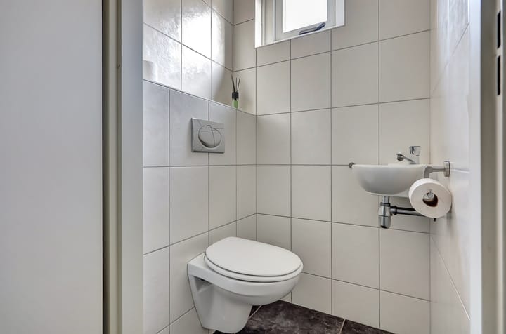 Foto 18 van Mantelmeeuw 9