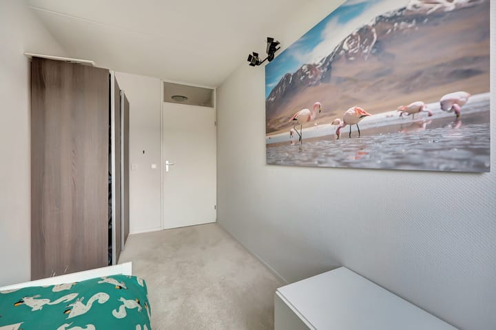 Foto 24 van Mantelmeeuw 9