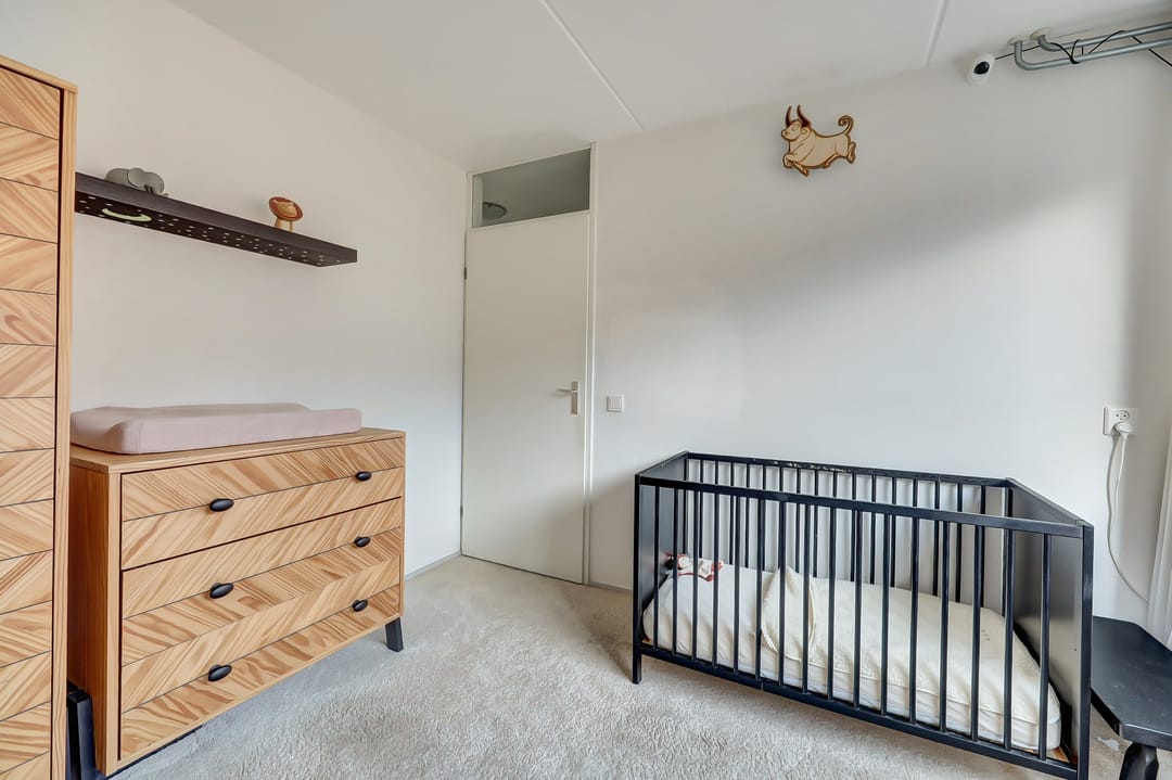 Foto 26 van Mantelmeeuw 9