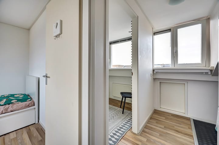 Foto 33 van Mantelmeeuw 9