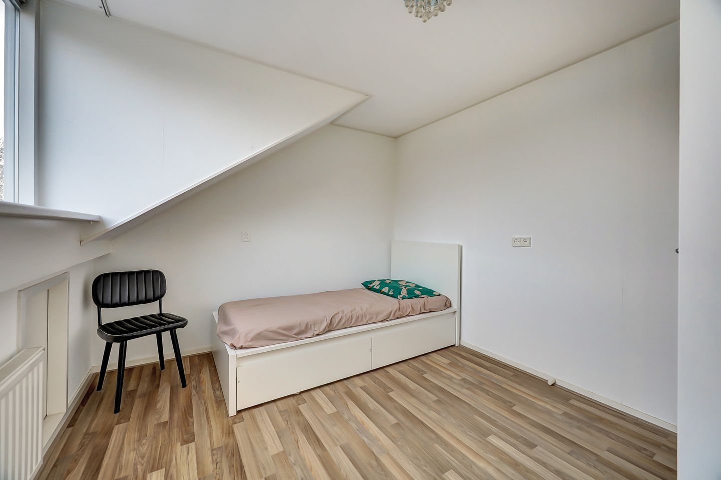 Foto 35 van Mantelmeeuw 9