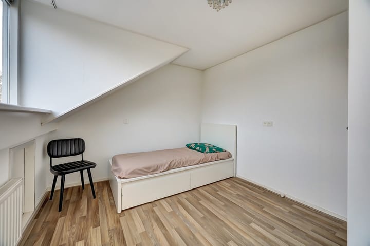 Foto 35 van Mantelmeeuw 9