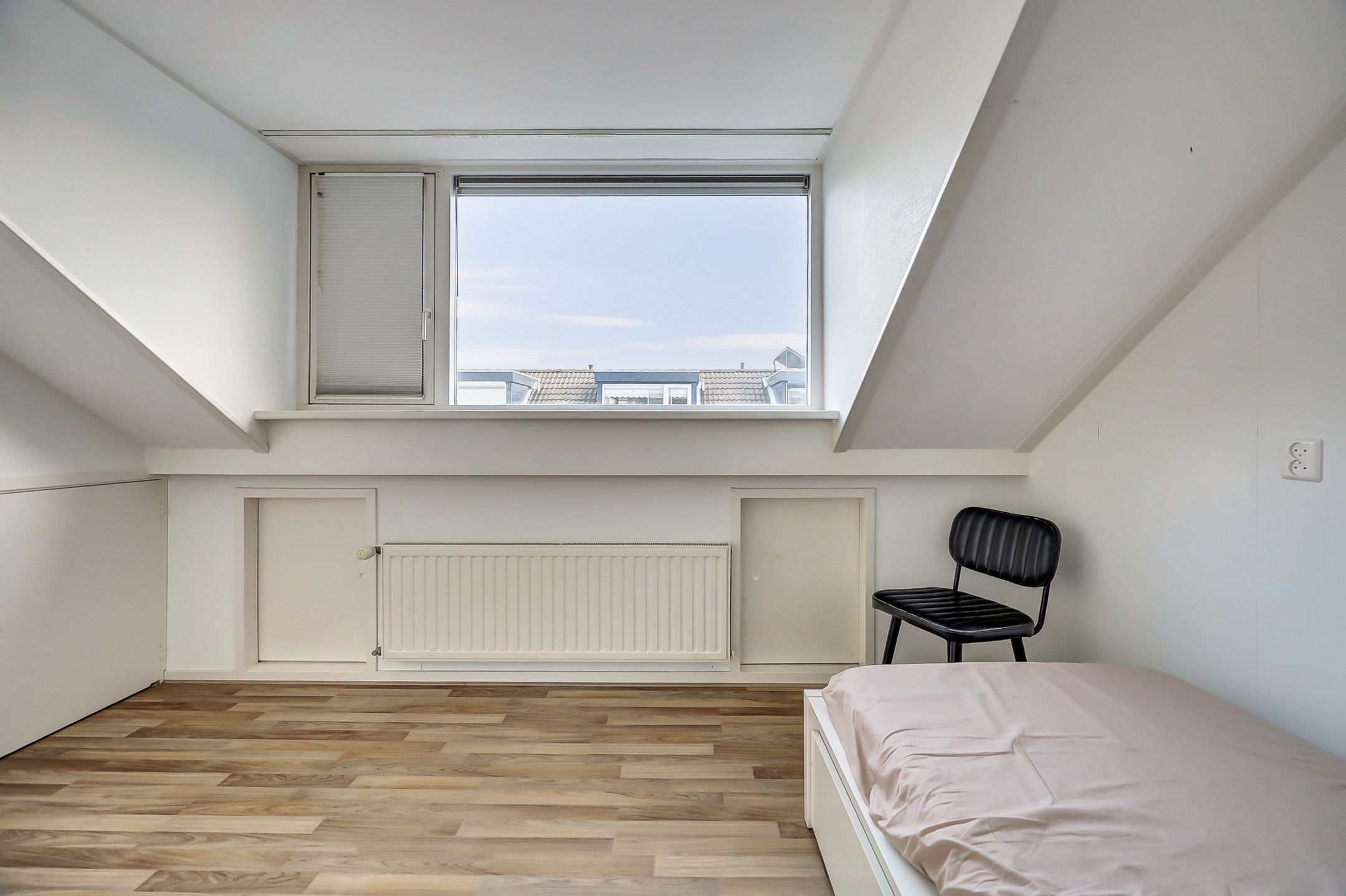 Foto 36 van Mantelmeeuw 9