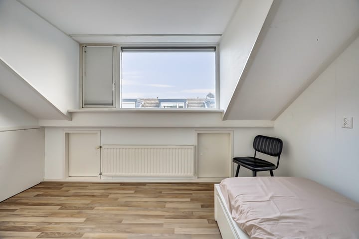 Foto 36 van Mantelmeeuw 9