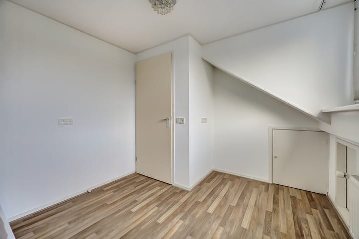 Foto 37 van Mantelmeeuw 9