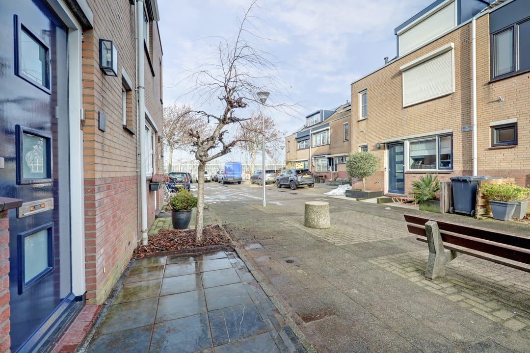 Foto 43 van Mantelmeeuw 9