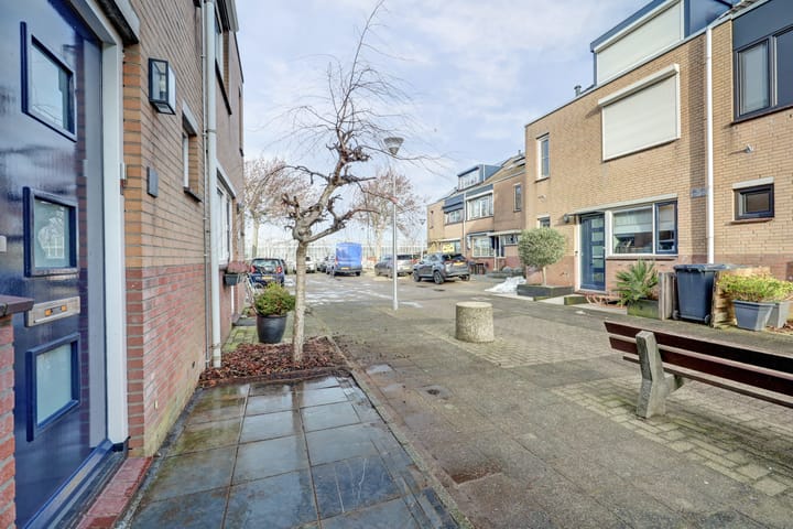 Foto 43 van Mantelmeeuw 9