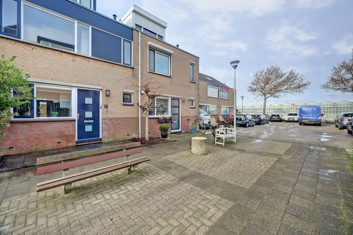 Foto 44 van Mantelmeeuw 9